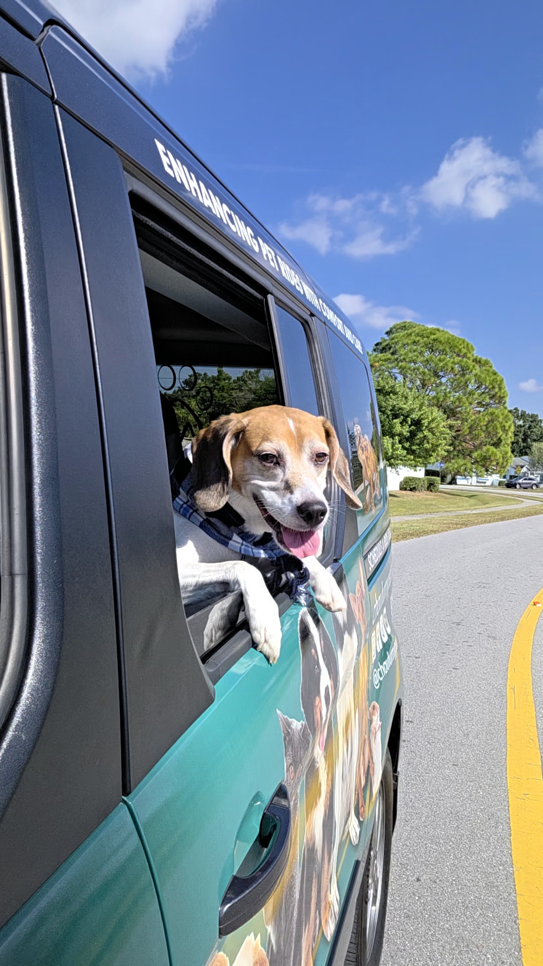 PawsengerVan_WindowDown